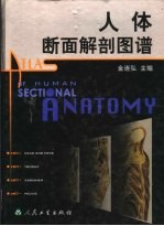 人体断面解剖图谱 中英文本