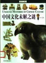 中国文化未解之谜 图文版