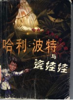 哈利·波特与瓷娃娃 哈利·波特游侠中国