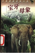 宝牙母象