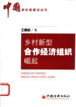 乡村新型合作经济组织崛起