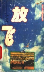 放飞