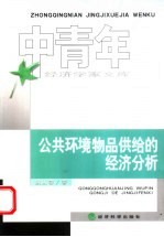 公共环境物品供给的经济分析