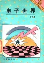 电子世界