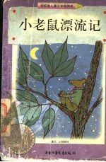 小老鼠漂流记