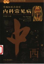 中西医结合治疗内科常见病 第2版