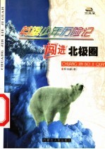 英雄少年历险记 闯进北极圈