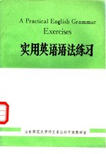 实用英语语法练习