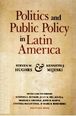 POLITICS AND PUBLIC POLICY IN LATIN AMERICA