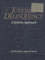 Juvenile delinquency a systems approach