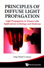 Principles of Diffuse Light Propagation