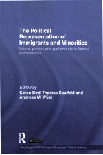THE POLITICAL REPRESENTATION OF IMMIGRANTS AND MINORITIES VOTERS