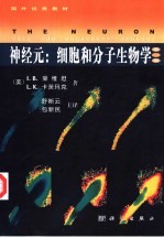 神经元 细胞和分子生物学