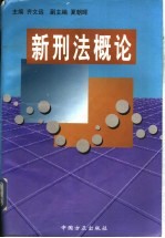 新刑法概论