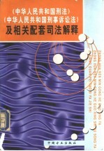 《中华人民共和国刑法》《中华人民共和国刑事诉讼法》及相关配套司法解释