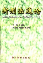 新刑法通论