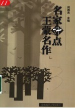 名家评点王蒙名作