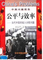 公平与效率 当代中国的收入分配问题