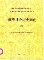 藏族社会历史调查 4