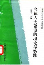 乡镇人大建设的理论与实践
