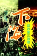 下海 政改第三浪潮