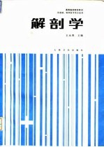 解剖学