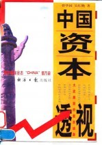 中国资本透视