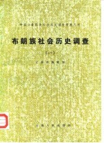 中国少数民族社会历史调查资料丛刊 布朗族社会历史调查 1