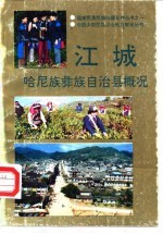 江城哈尼族彝族自治县概况