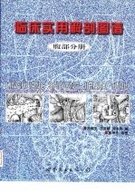 临床实用解剖图谱 腹部分册