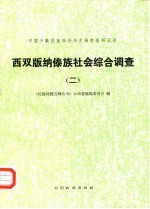 西双版纳傣族社会综合调查 2