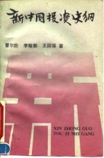 新中国投资史纲