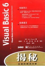 Visual Basic 6揭秘 全面的解决方案