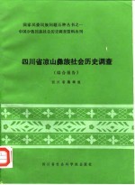 中国少数民族社会历史调查资料丛刊 四川省凉山彝族社会历史调查 综合报告