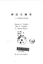 神经生物学 从神经元到大脑