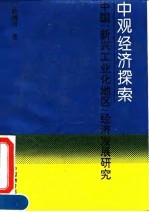 中观经济探索 中国“新兴工业化地区”经济发展研究