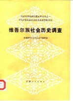中国少数民族社会历史调查资料丛刊 维吾尔族社会历史调查