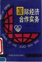 国际经济合作实务