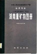 湖南重矿物图册