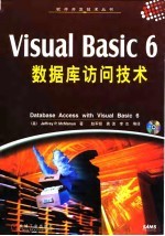 Visual Basic 6数据库访问技术