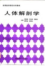 人体解剖学