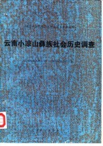 云南小凉山彝族社会历史调查