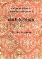 中国少数民族社会历史调查资料丛刊 藏族社会历史调查 5