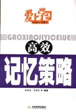 高效记忆策略