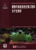 植物代谢途径的生物工程和分子生物学 导读版