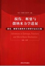 损伤、断裂与微纳米力学进展 损伤、断裂与微纳米力学研讨会论文集