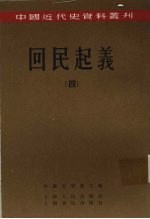 回民起义 4