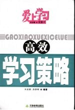 高效学习策略