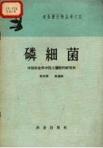 磷细菌