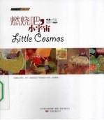燃烧吧,小宇宙